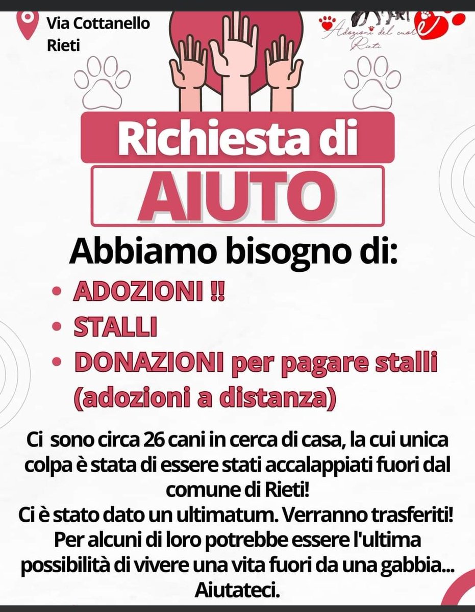 MonicaOrsini8's tweet photo. #EMERGENZA ⚠️🆘a #Rieti il #canile è pieno, molti rischiano la deportazione. Serve di tutto oltre agli #stalli #adozioni anche #adozioni a distanza! 🙏🏻🆘#SosCani #AdoptDontShop #adottanoncomprare #adottauncanedalcanile #canicercacasa #adozionecani #adozionidelcuore Info👇🏻 https://t.co/GgqIZOajJ1