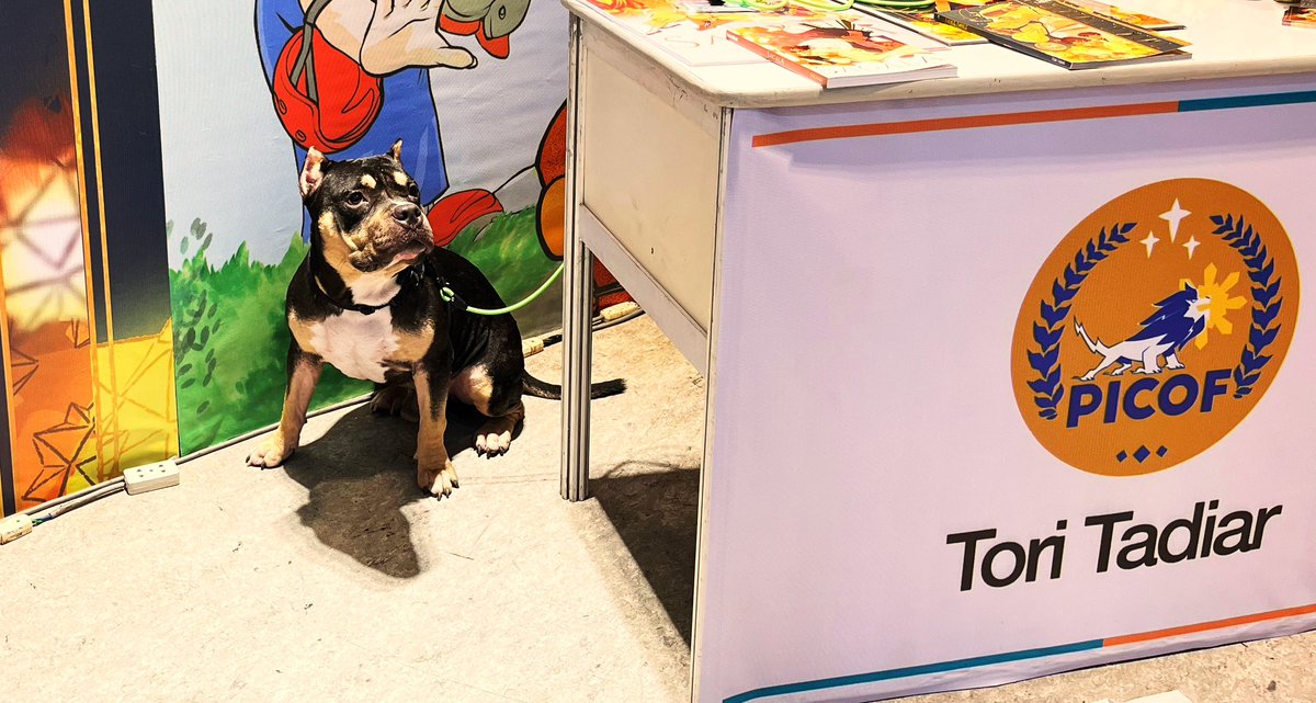 🌟 Tori | Daybreaker OUT NOW! tweet media