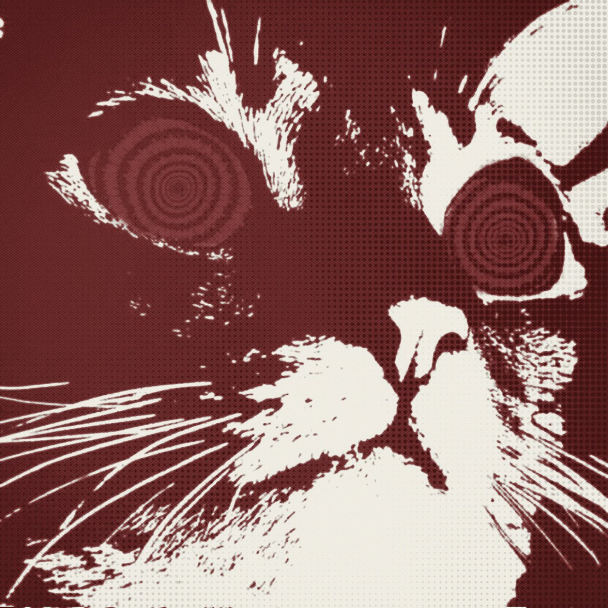 ㅤ
ㅤ𝙃ᅟ(   !ީ   )ᅟ𝐒𝙲𝙰𝕯𝒆𝚁𝕐ᅟ𓄹  𝑪𝐀͟𝖙.ᅟ
ㅤ