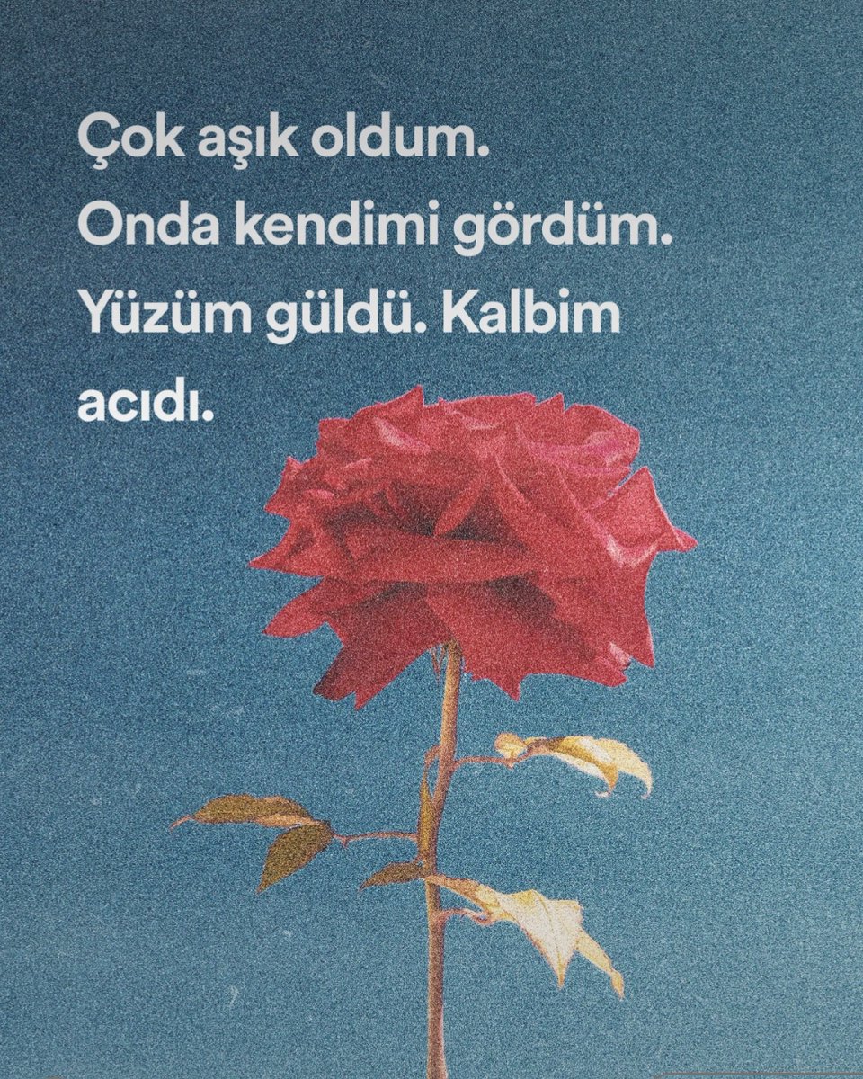 mabelmatiz's tweet photo. Fatihimmmm! ❤️✨1 yaşında! https://t.co/KxVtsGGiNs