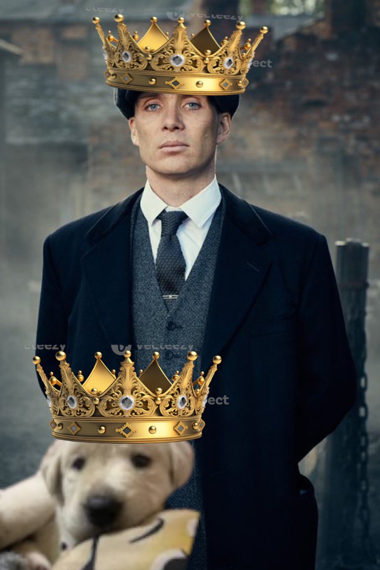 frankenhooker🇦🇲 tweet media