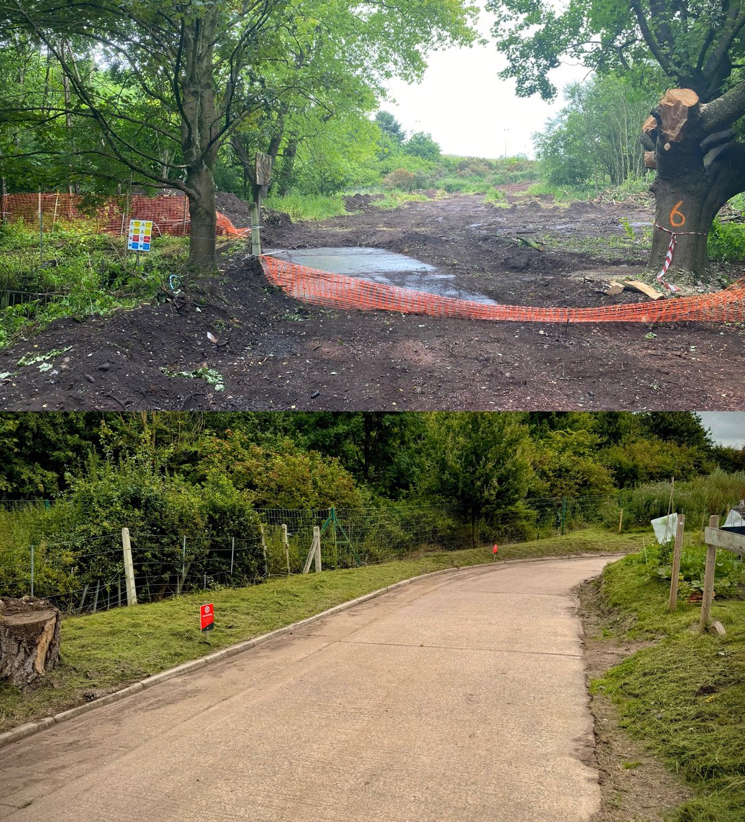 Look how far we’ve come in a little over a year! 🚀🌿 

We've still got a long list of projects 📝, but it’s nice to look back at where we were and where we are today 🙌✨

If you have any suggestions for the future we’d love to hear them 📢