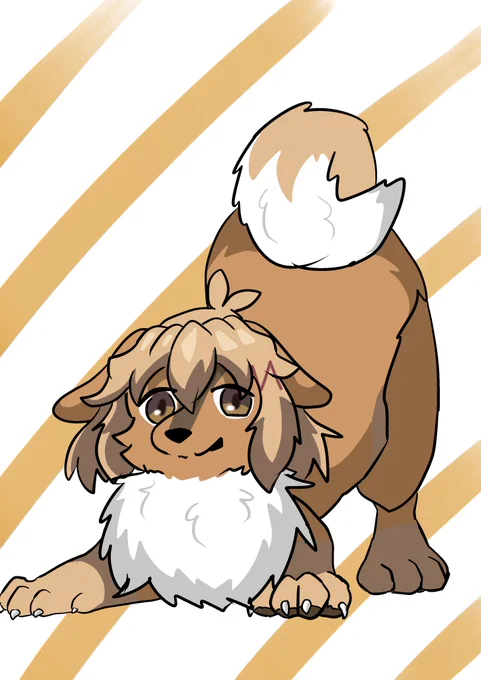 犬花 