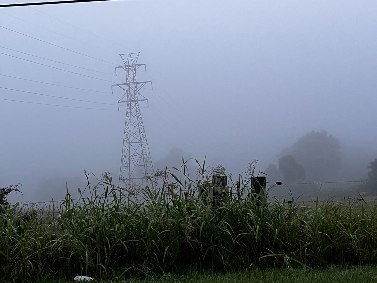 TheLegendCG tweet media