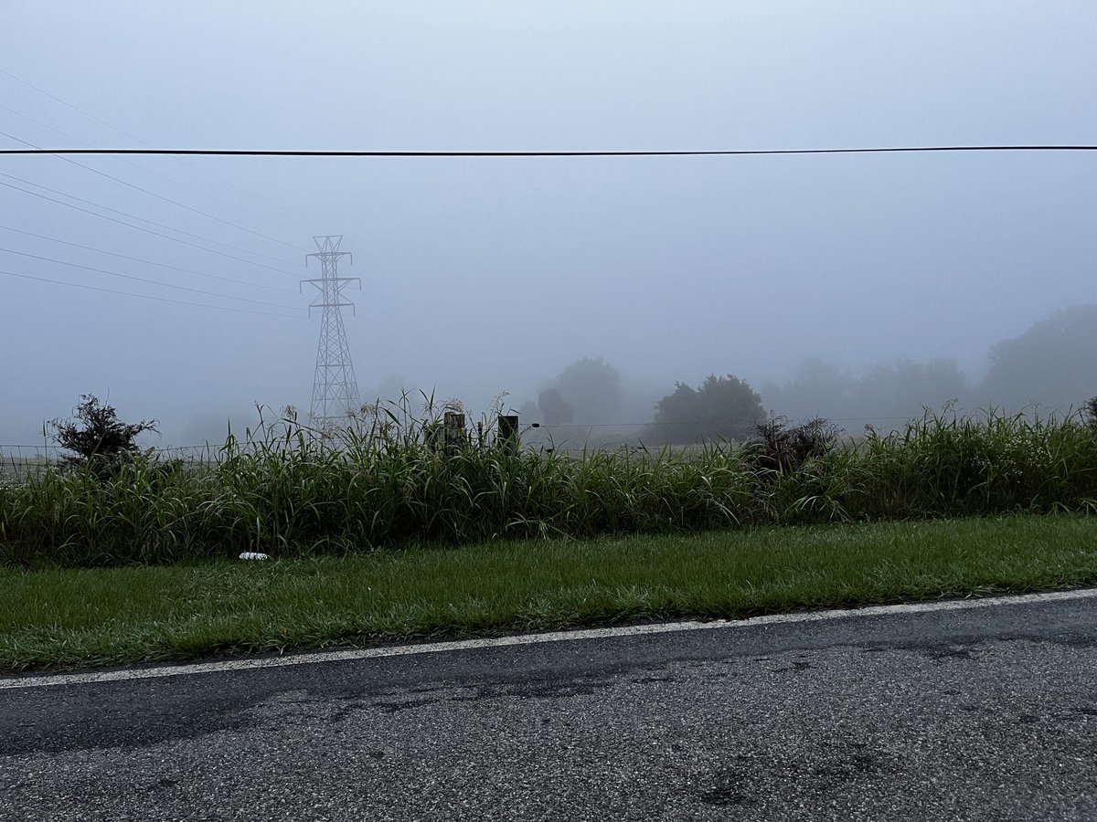 TheLegendCG tweet media