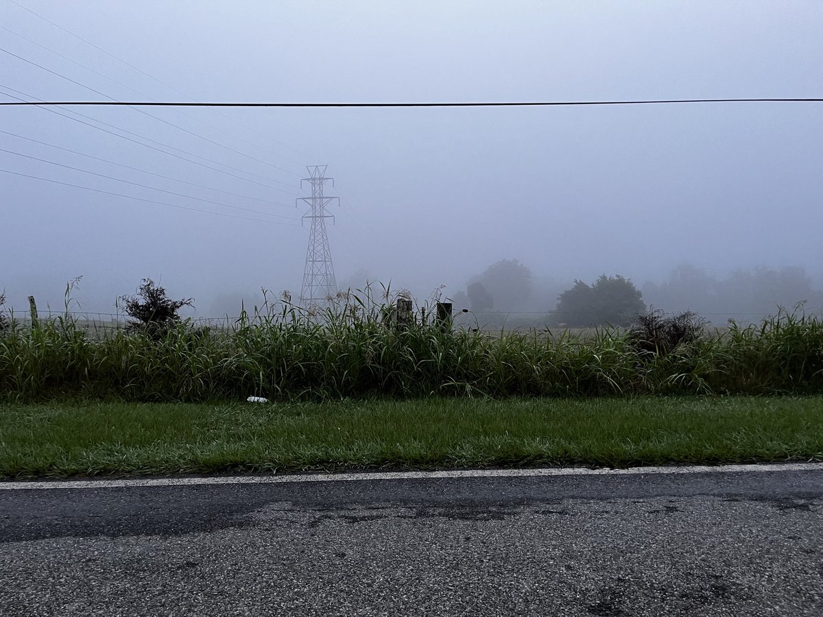 TheLegendCG tweet media