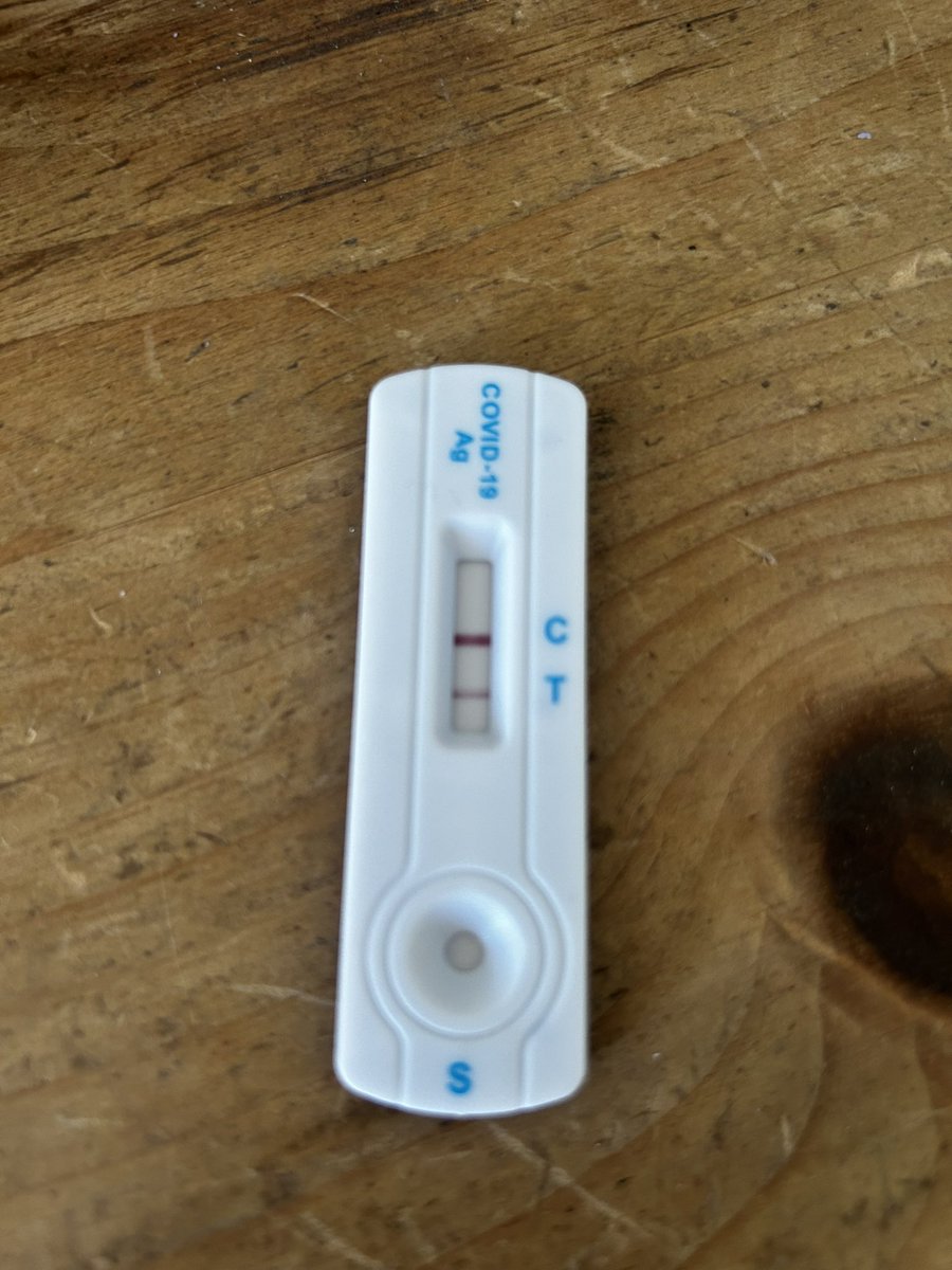 FFS, first I have multiple Ménière’s episodes, then 6 hours in A&amp;E, kidneys are okay but really bad Hypertension, thyroid probably fucked too, good news is I don’t have a bleed on the brain, but now I have Covid and feel shit. Joy to the World!!