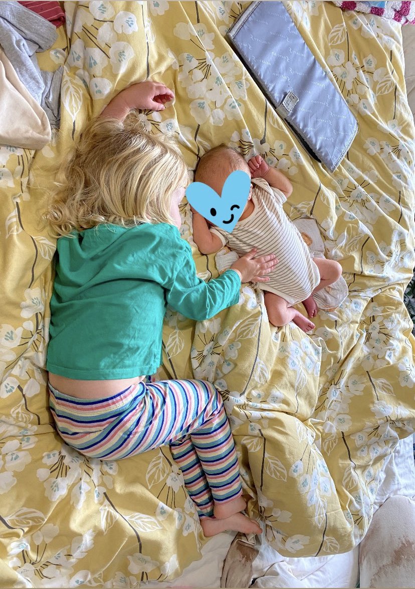 Rebecca Brewer tweet media