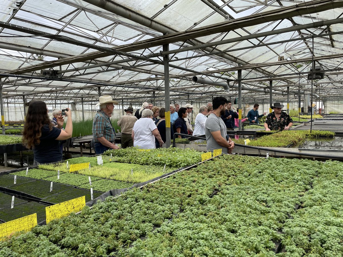 WaterGardenSol's tweet photo. The smaller post-symposium #IWGS24 group was hosted by growers #AngloAquatic and #BeaverPlants before a short trip to #Wakehurst Thanks to all for attending &amp; see you next year! ⁦@TheIWGS⁩ https://t.co/7HYgCpivo9
