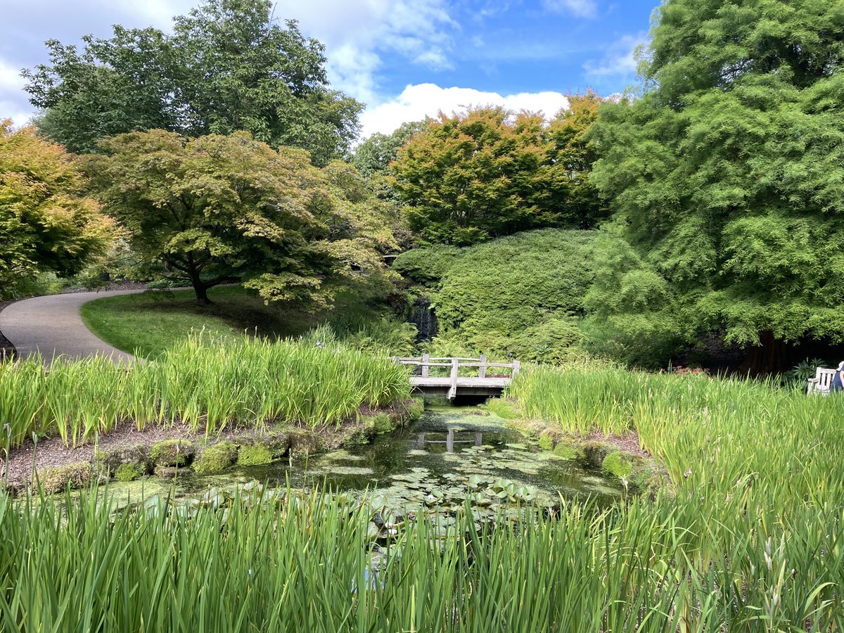 WaterGardenSol's tweet photo. The smaller post-symposium #IWGS24 group was hosted by growers #AngloAquatic and #BeaverPlants before a short trip to #Wakehurst Thanks to all for attending &amp; see you next year! ⁦@TheIWGS⁩ https://t.co/7HYgCpivo9