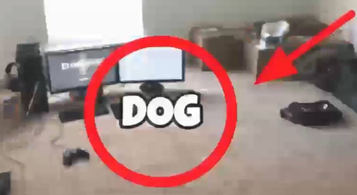 InvisibleDogSol's tweet photo. The Invisible Dog $Bobby is now community, and the Invisible Cat $Kieth has a 6M$ MC. Can you see Invisible Dog? 🐕

Ca: zVrb3r776NiVyhaM4CRuXGbK1peQN1uVZLWsm5zpump

Tg: https://t.co/5cscDMJfmt

X: https://t.co/DOVL9KdlNu https://t.co/HIJzFqwQIC