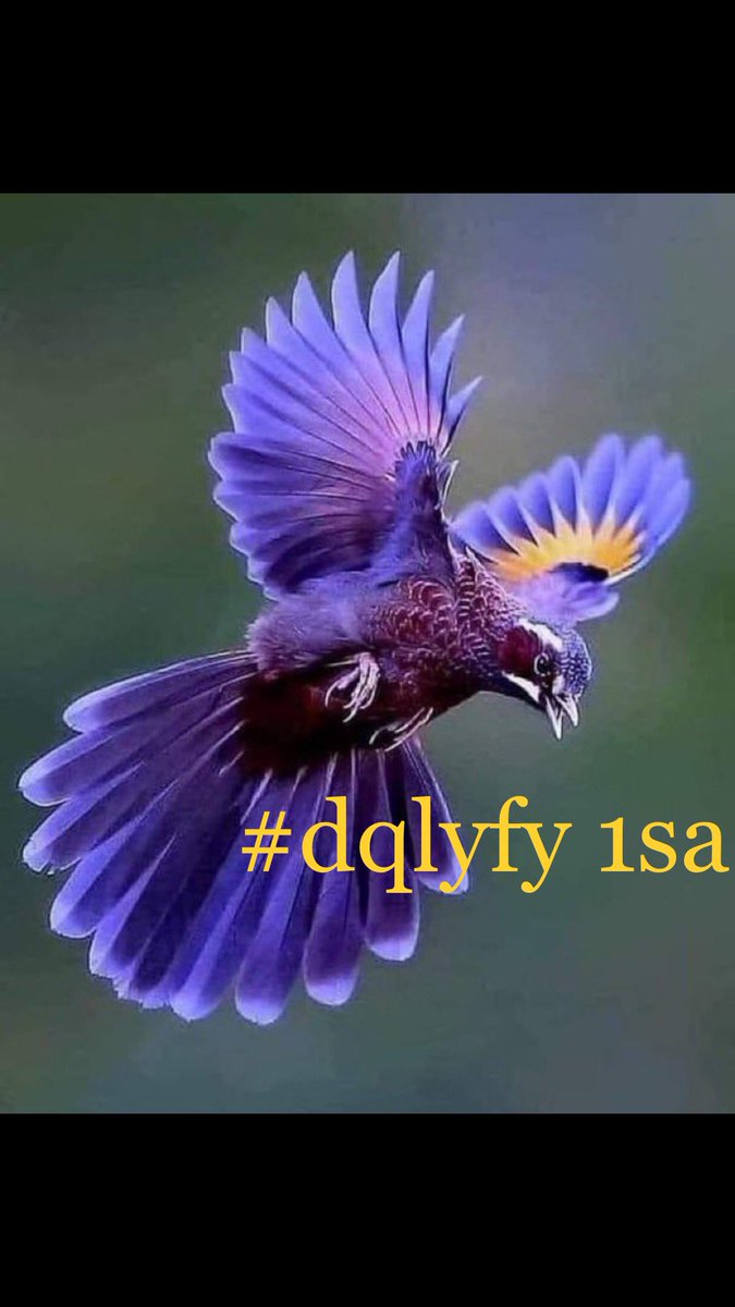 🏅ناري اليافي 🏅 🍁 💯fb 💯 🌟☀️🎇🚀 (@dqlyfy1sa) on Twitter photo #dqlyfy1sa
<a href="/dqlyfy1sa/">🏅ناري اليافي 🏅 🍁 💯fb 💯 🌟☀️🎇🚀</a>
<a href="/Lea_Dhai/">🐥𝒫𝓇𝒾𝓃𝒸𝑒𝓈𝓈 ℒ𝑒𝒶𝒽 ⭕️130 K👑</a>
<a href="/R00yy0/">دعم ريما👑Reema</a>
<a href="/kn_jui/">Bakht Zada🇵🇰f💯</a>
<a href="/fii130/">فاطمة عبدالعزيز 🇸🇦</a>
<a href="/az22_w/">تذكرتك🎫</a>
<a href="/0Ain_/">𝑨𝒊𝒏𝒂𝒎 𝒗𝒊𝒆𝒘'𝒔</a>
@rym12191
<a href="/TATHAD7/">ـ༗ يُـوسُـفَ||𝒀𝑶𝑼𝑺𝑬𝑭.</a>
<a href="/Samryhtw/">💞السامريه💞</a>
<a href="/BMNCTY/">🧢 🇷🇼</a>
<a href="/ala_lm_e/">💙💛💙العـــــــالمي 💛💙💛</a>
<a href="/ali_2ali_8/">❥◌͜͡༄ ̣̩̩̩̥͢ali_2ali_❥◌͜͡༄ ❥</a>
<a href="/N1ke2_Tre/">Nike23</a>
<a href="/ndya9312/">شركه كشف تسربات المياه وعزل الأسطح</a>
<a href="/ZeeIK2526/">ZEESHAN SARWAR</a>
<a href="/10MN_100/">سيناء💯</a>
<a href="/naglaa7576/">naglaa🤍🌙🇸🇦</a>
<a href="/AAllh70896/">احلام المتوكل</a>
@qasm_y438
@KingMswahili
<a href="/asyrtalahzana/">الجوهرة🕊️</a>
@Arrs1234554G
<a href="/abnabduh_ali2/">مغرد حر بديل</a>
<a href="/Sameer241023/">⚜🦋.𝐒𝐀𝐌𝐄𝐄𝐑 𝐉𝐀𝐍𝐄.🦋⚜</a> #dqlyfy1sa
<a href="/dqlyfy1sa/">🏅ناري اليافي 🏅 🍁 💯fb 💯 🌟☀️🎇🚀</a>
<a href="/Lea_Dhai/">🐥𝒫𝓇𝒾𝓃𝒸𝑒𝓈𝓈 ℒ𝑒𝒶𝒽 ⭕️130 K👑</a>
<a href="/R00yy0/">دعم ريما👑Reema</a>
<a href="/kn_jui/">Bakht Zada🇵🇰f💯</a>
<a href="/fii130/">فاطمة عبدالعزيز 🇸🇦</a>
<a href="/az22_w/">تذكرتك🎫</a>
<a href="/0Ain_/">𝑨𝒊𝒏𝒂𝒎 𝒗𝒊𝒆𝒘'𝒔</a>
@rym12191
<a href="/TATHAD7/">ـ༗ يُـوسُـفَ||𝒀𝑶𝑼𝑺𝑬𝑭.</a>
<a href="/Samryhtw/">💞السامريه💞</a>
<a href="/BMNCTY/">🧢 🇷🇼</a>
<a href="/ala_lm_e/">💙💛💙العـــــــالمي 💛💙💛</a>
<a href="/ali_2ali_8/">❥◌͜͡༄ ̣̩̩̩̥͢ali_2ali_❥◌͜͡༄ ❥</a>
<a href="/N1ke2_Tre/">Nike23</a>
<a href="/ndya9312/">شركه كشف تسربات المياه وعزل الأسطح</a>
<a href="/ZeeIK2526/">ZEESHAN SARWAR</a>
<a href="/10MN_100/">سيناء💯</a>
<a href="/naglaa7576/">naglaa🤍🌙🇸🇦</a>
<a href="/AAllh70896/">احلام المتوكل</a>
@qasm_y438
@KingMswahili
<a href="/asyrtalahzana/">الجوهرة🕊️</a>
@Arrs1234554G
<a href="/abnabduh_ali2/">مغرد حر بديل</a>
<a href="/Sameer241023/">⚜🦋.𝐒𝐀𝐌𝐄𝐄𝐑 𝐉𝐀𝐍𝐄.🦋⚜</a>