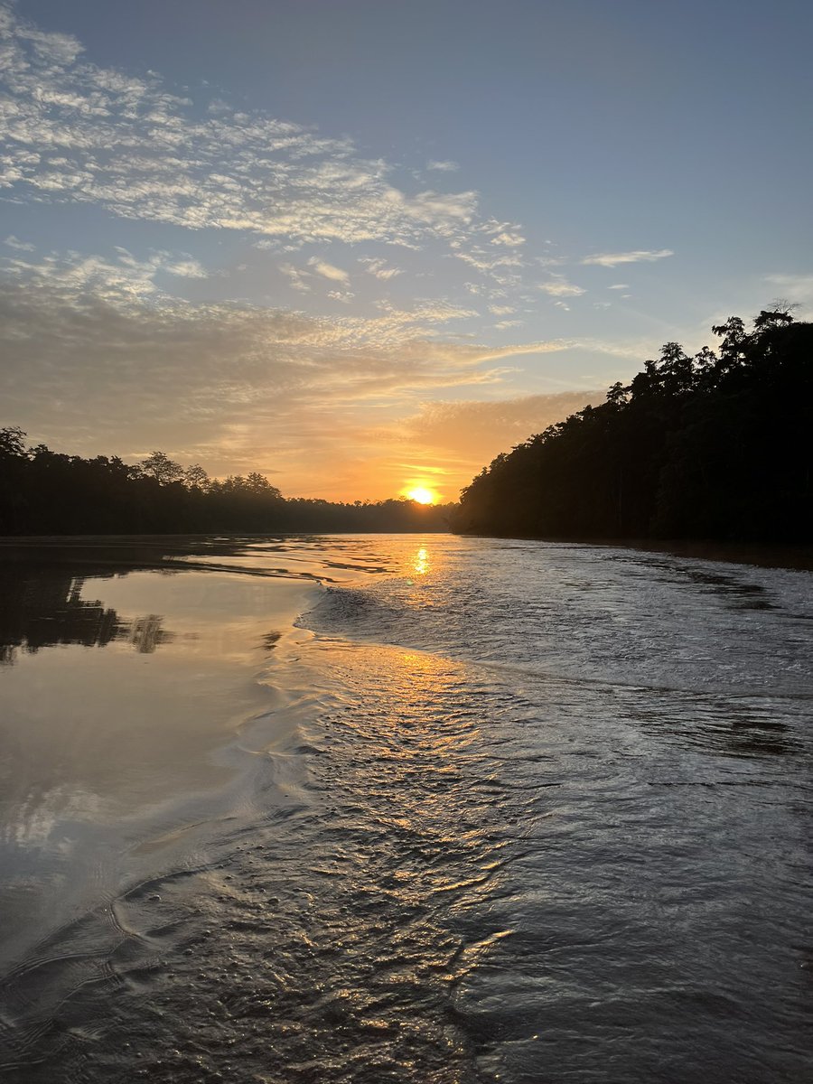 The sun has set on our project phase with two nights of hammock camping, planting trees and more wildlife watching  #borneodreamteam <a href="/ChewValleySch/">Chew Valley School</a>