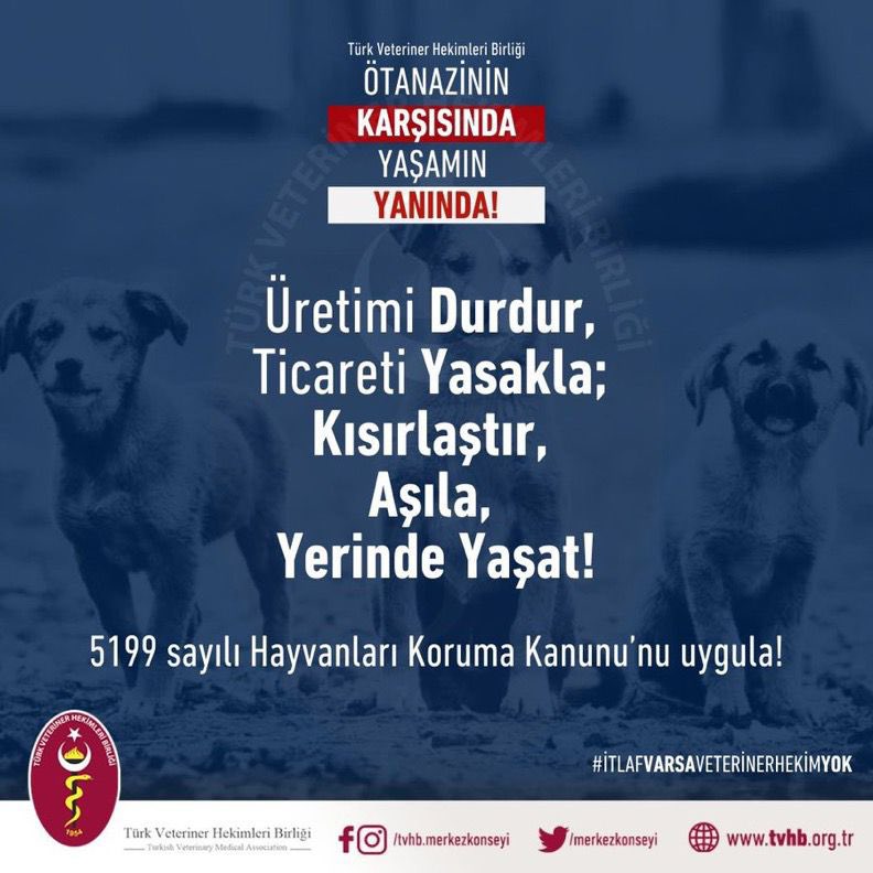 TÜRK VETERİNER HEKİMLERİ BİRLİĞİ UYARIYOR, 
ÇÖZÜM ZOR DEĞİL!

5199 Sayılı Kanunda değişiklik yapılmasına dair tasarının görüşüldüğü Meclis Komisyonu toplantısına katılarak görüşlerimizi ilettik. 

Tüm görüş ve önerilerimiz bilimsel veriler, yaptığımız çalıştaylar ve yerel