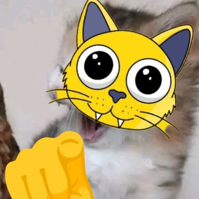 CatsonOnSol's tweet image. Check your wallet for free money!!! 🔥

#CatOnSol $CAT