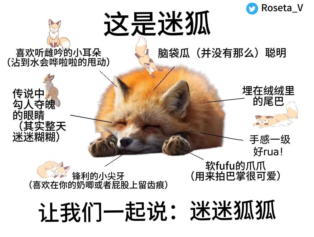 我可不是什么只会卖萌的小fufu
我是无情的罐头收割机
妖娆妩媚的代名词（狐媚子）
暴怒的鲑鱼饭团
黄昏的尖叫者
一团倔强的软绵绵
一台橘红色的摇摇车
葡萄一定是酸的！【绝对酸的】
什么？你说我没吃过？！
可我知道<a href="/MoMoOolong_Siro/">🍑</a> 一定比葡萄甜～