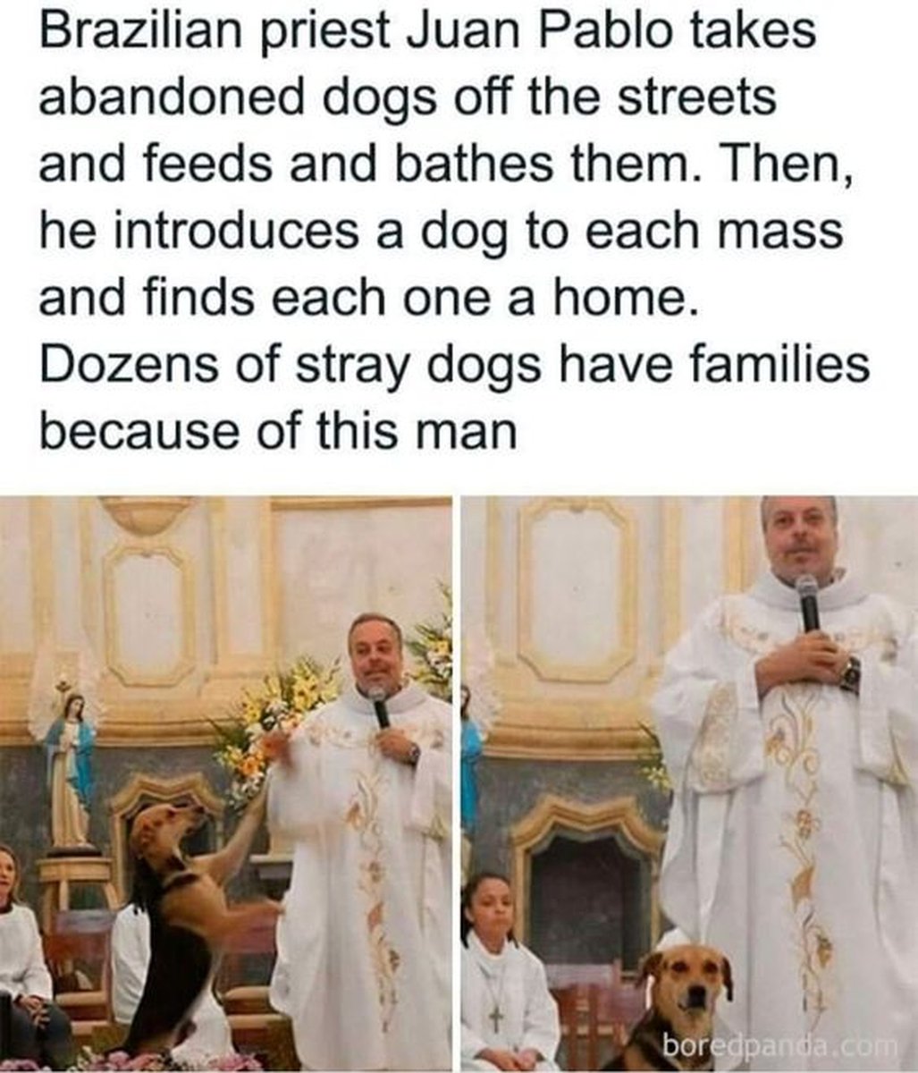 Dalbodog's tweet image. Great idea ❤️💝