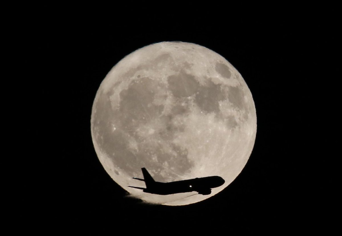 本日のバックムーン
JAL763
※トリミングしてます。
#バックムーン
#満月
#JAL
#full moon