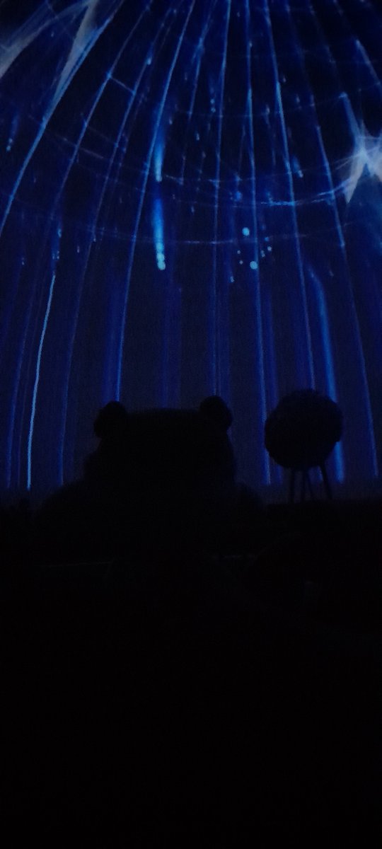 Ted has had a great time at the Fulldome Festival <a href="/PlanetariumJena/">Planetarium Jena</a>, seeing so many exciting new shows and getting to know planetarians from around the world. Next stop - Berlin for the main <a href="/IPS_Planetarium/">IPS Planetarium</a> Conference 2024! 🪐🐻🥳
#ips2024
#tedontour