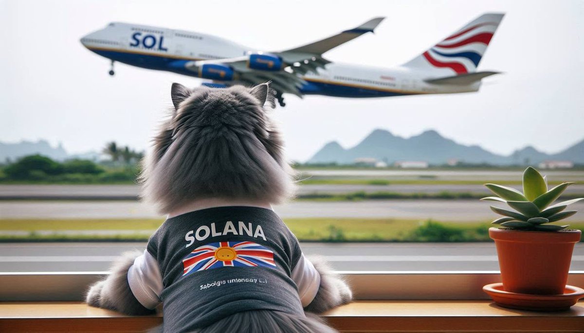 Who wants to see what #MisterMiggles is up to right now? 🎥😸