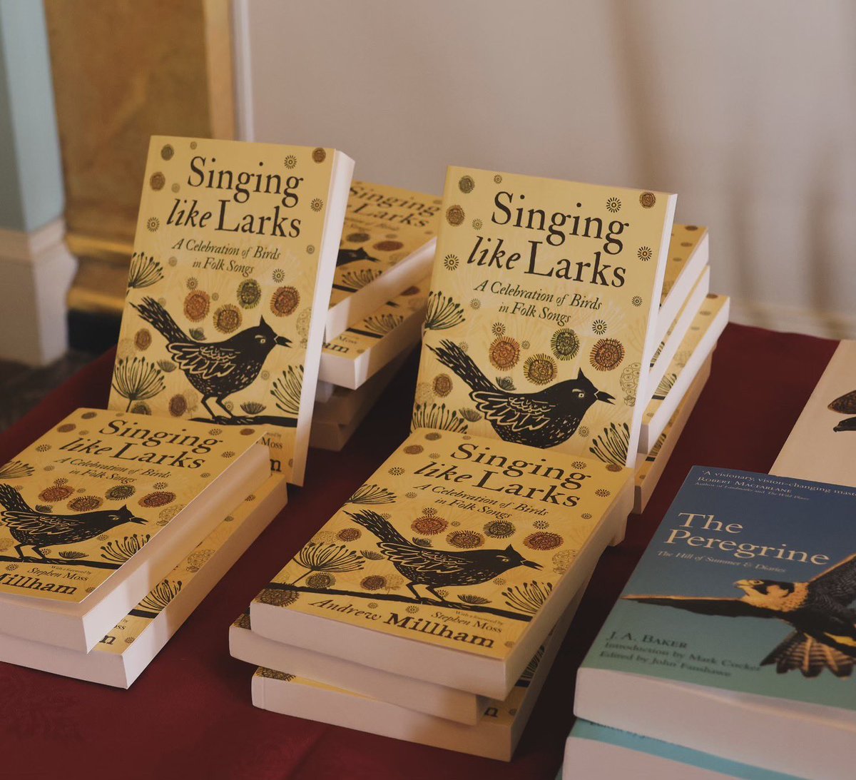 AndrewMillham's tweet image. Essex Book Festival ‘24 📚🐦