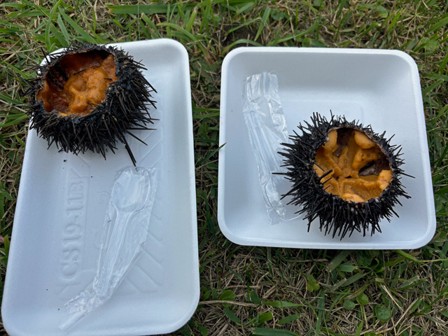 aburame_com's tweet photo. 今日はぶらりといちご煮祭りへ
殻付きの生うにと焼きうにを堪能
瓶詰は3種ありカミさんに
半分払うとお願いし一番大きい牛乳瓶
帰り際アンケートに答えて
パスタソースを頂き昼食へ
涼しさを求め山の上の学校で
天と倍をダブルで完食し帰路へ
今度は本格的にヒラメ狙いで出船予定
では、また階上沖で https://t.co/mQ5ZUbyVac