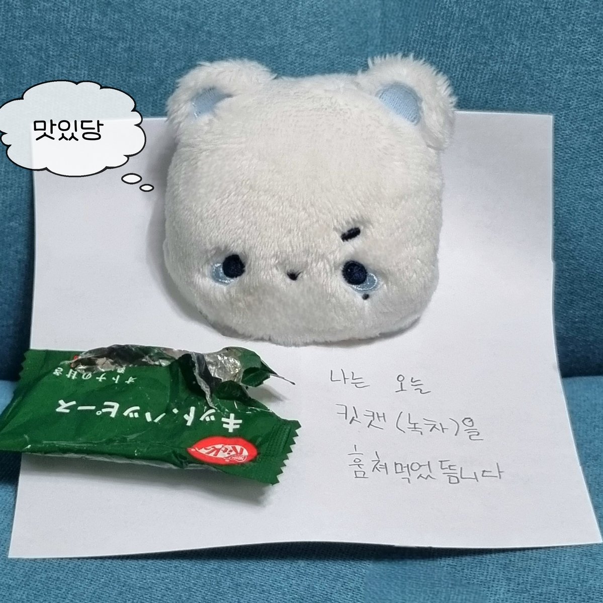 신빵일 너어..