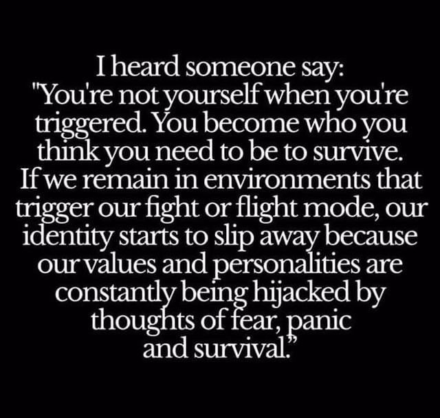 RhiaCrewe's tweet photo. 💜 https://t.co/C3lKZPq2KM