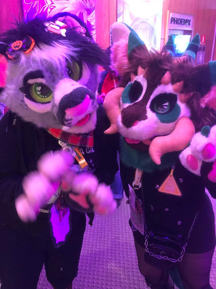 More photos from Brasil FurFest! &gt;:3 

#Brasilfurfest #brasilfurfest2024