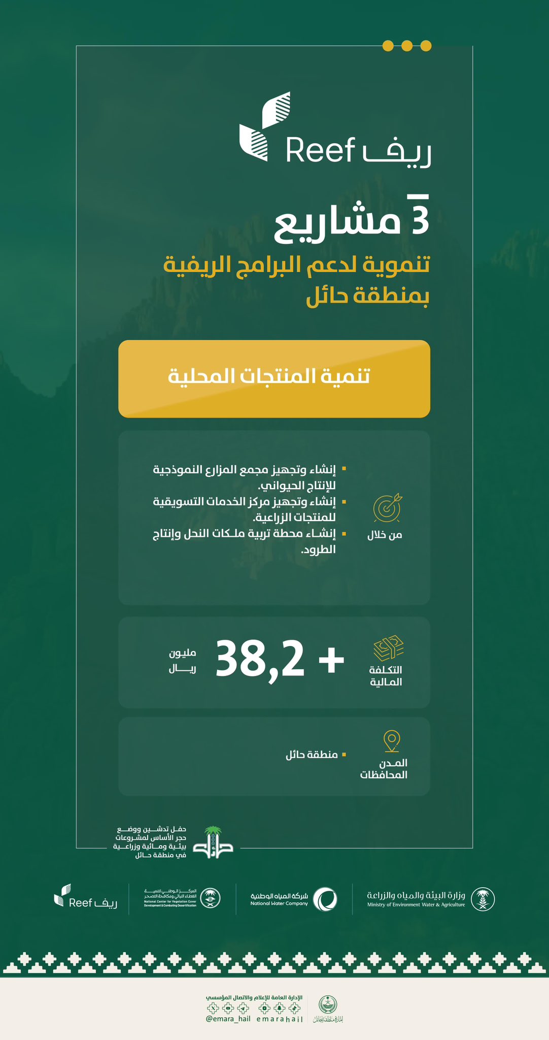 الصورة