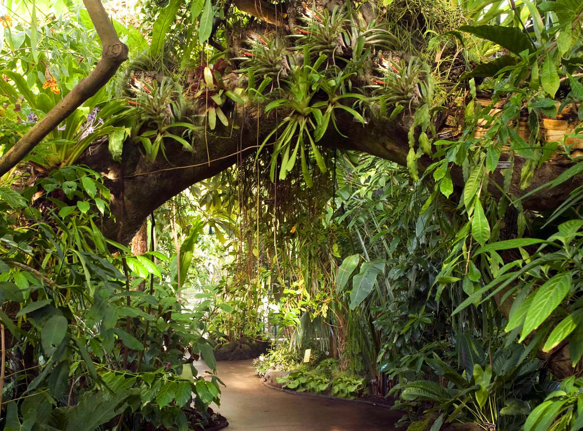 PlantAddress's tweet image. Is everyone getting tree planting wrong? Here’s how to get it right!  Must watch for reforestation.
blog.ecosia.org/everyone-getti…?