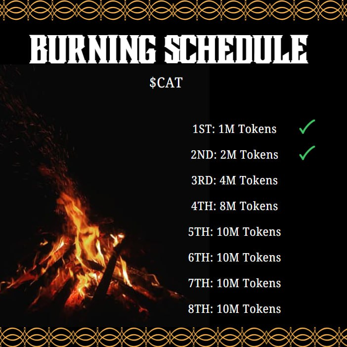 CatsonOnSol's tweet image. 2M token $CAT will be burnt

Here is the proof: solscan.io/tx/2hjtFu3vFTd…

#CatOnSol $CAT