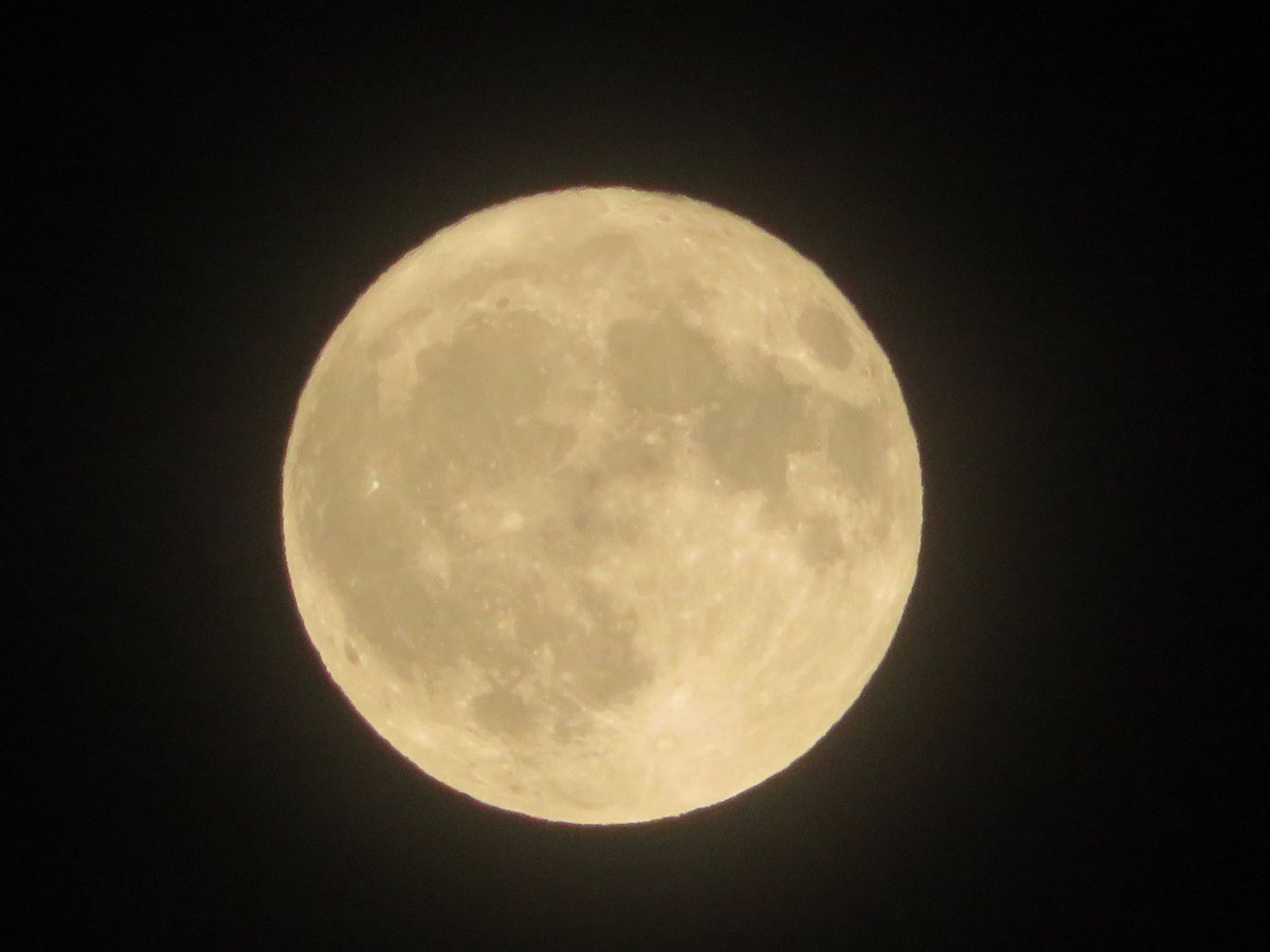 yoken8808's tweet photo. 今夜は満月🌕バックムーン https://t.co/zWvdR9v4Uc