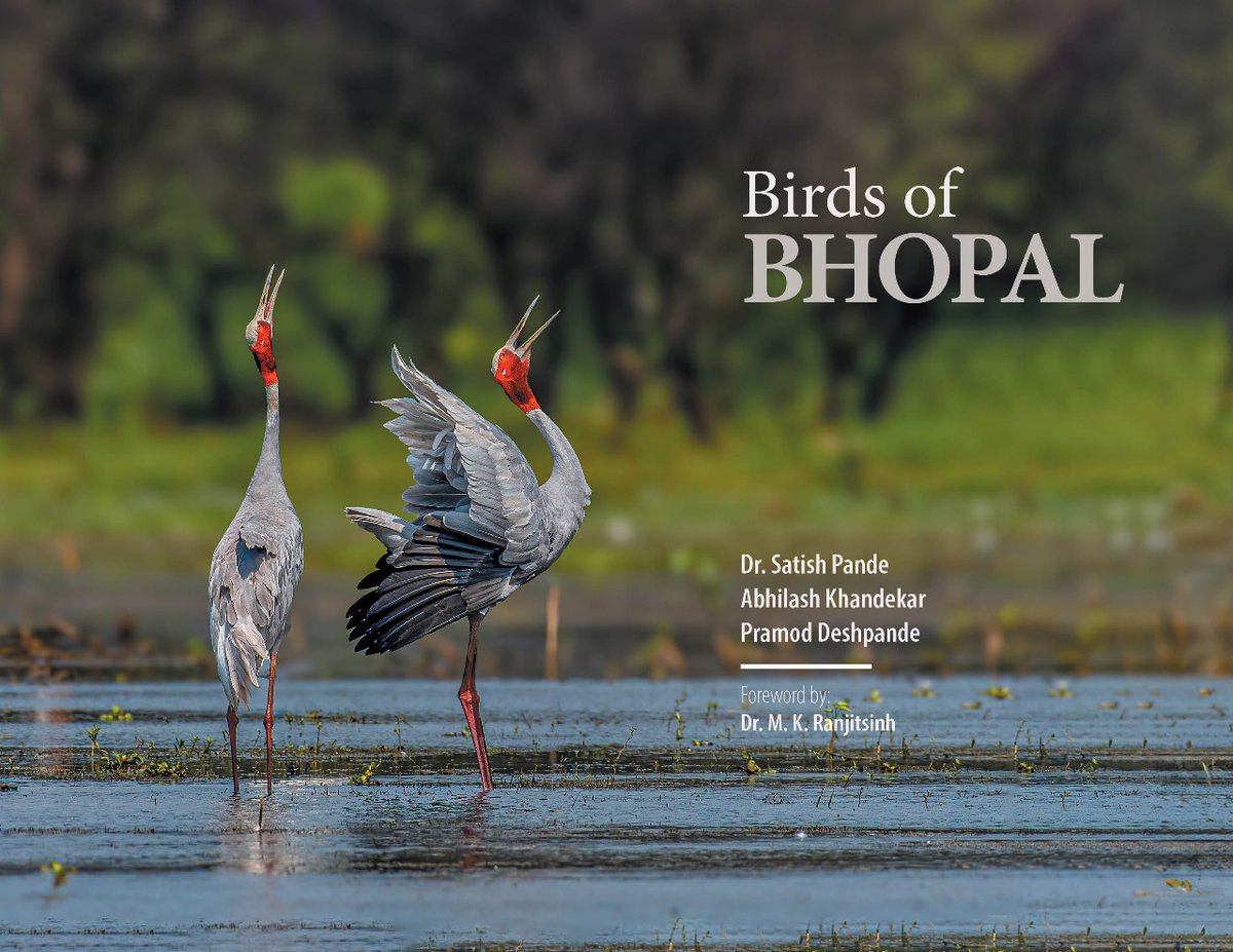 Abhilash Khandekar tweet media