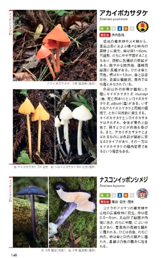 山本航平・大前宗之（2024）、栃木県きのこ同好会協力
『栃木のきのこ新図鑑』

定価税別2,500円(税込2,750円）
佐野書店価格：
税別2,364円（税込2,600円）（定価の5.4％引き）、送料サービス
在庫：7月23日（火）までのご注文には翌日発送
sanoshoten.blog13.fc2.com/blog-entry-187…