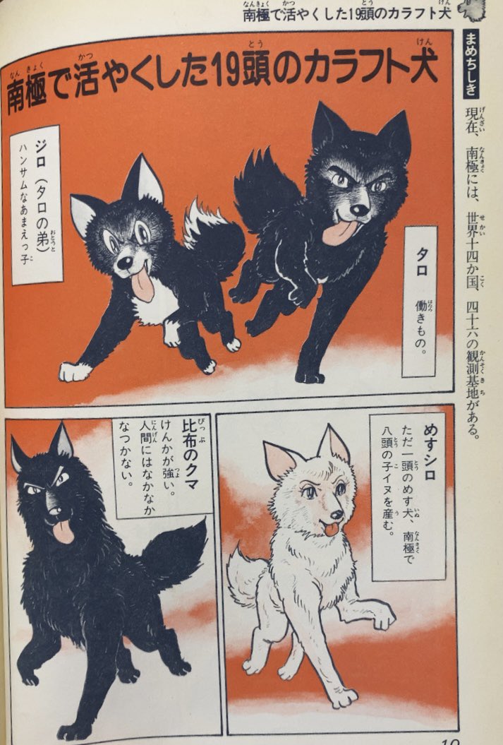 入荷情報】蔵原惟繕、石森章太郎、シュガー佐藤 / 南極物語 タロ・ジロ