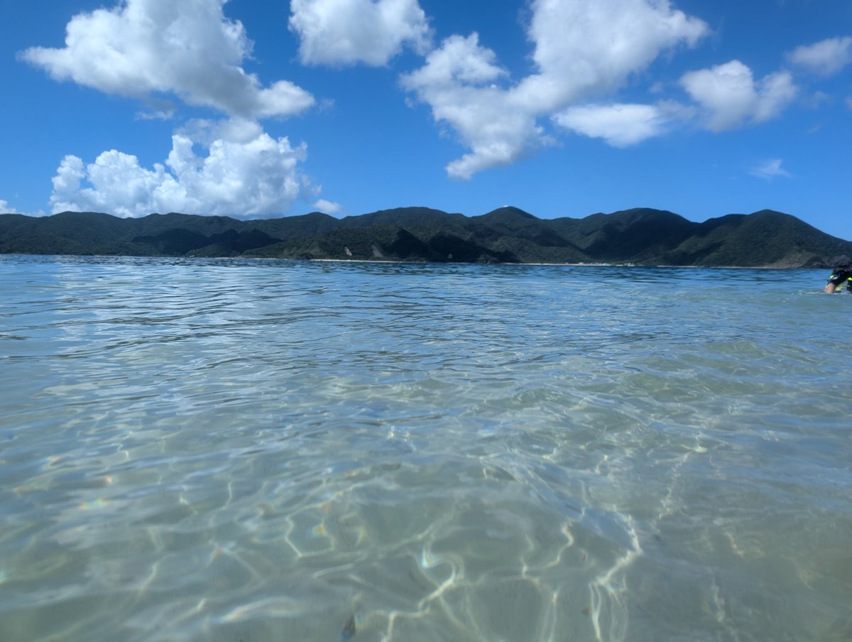 monkeylow2's tweet image. 夏休みをいただき、奄美大島へ😁
海はもちろん、虹にも恵まれました！珍しい2重の虹🌈