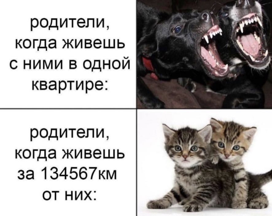 ДА