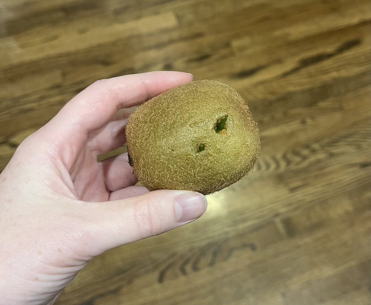 bea_the_badass's tweet photo. my dog took a kiwi off the counter and decided she didn’t like it after what looks like a single bite… maybe I should have peeled it for her?? 😂😂
#SaveOURWarriorNun #WarriorNun #TeamTraumatized https://t.co/4fltAKuCsm