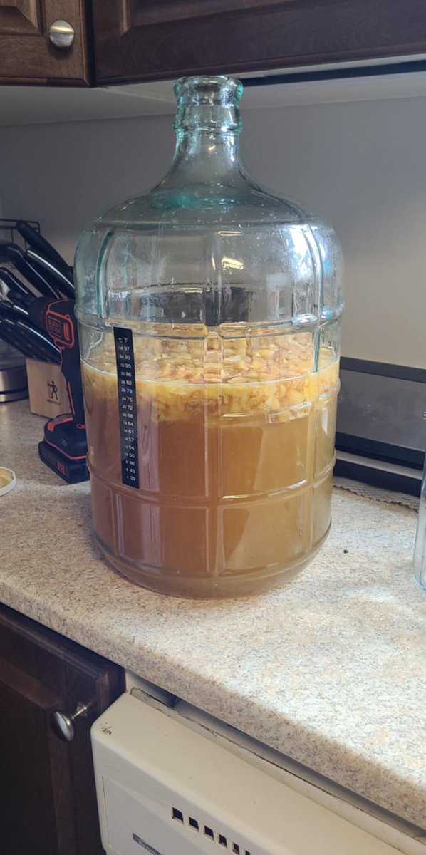 ElementalFriend's tweet image. Now we've started a small batch of peach wine. Hopefully this experiment goes well.