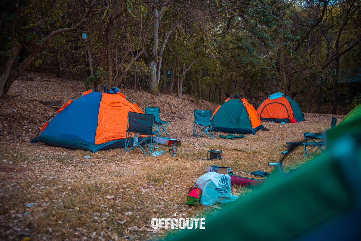 Off_Route101's tweet photo. Jacobsen campsite, Kigoma.
We had an unexpected guest, but he was friendly. https://t.co/CNpBeGzXWY