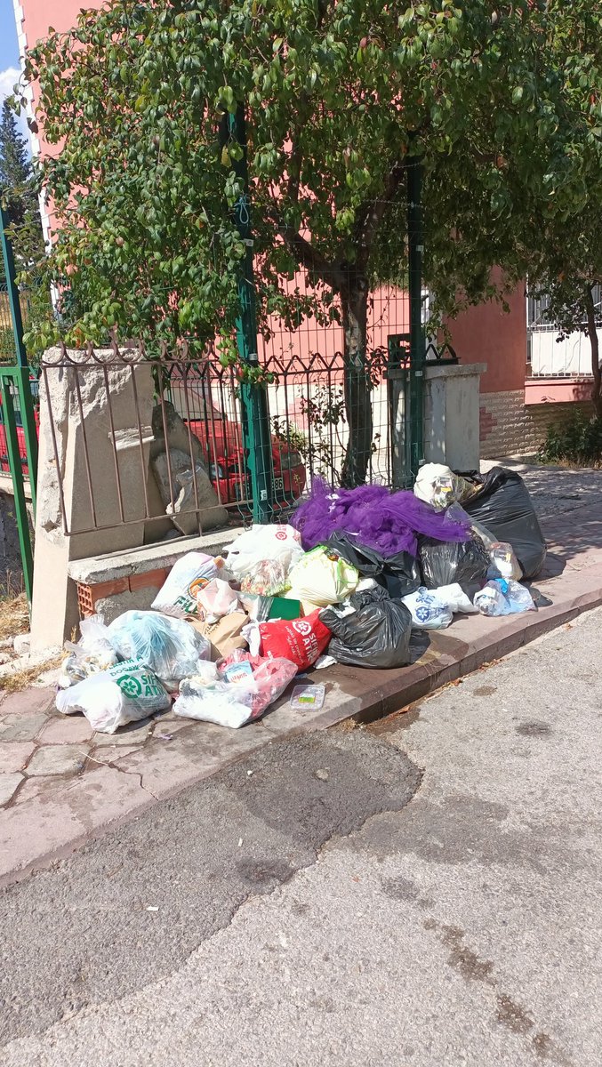 Uurr1995's tweet photo. @OzarslanMesut Ayvalı mahallesi kardeşler Koop. 177. sokak ne zaman çöp toplamayı düşünüoyrsunuz? https://t.co/HkJDSCipJ5