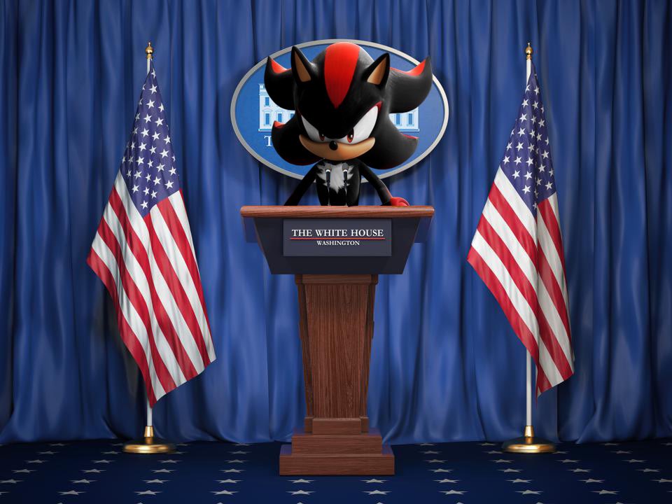Screw Biden and Trump… to the new Mr. President… Shadow the Hedgehog 🦅🇺🇸