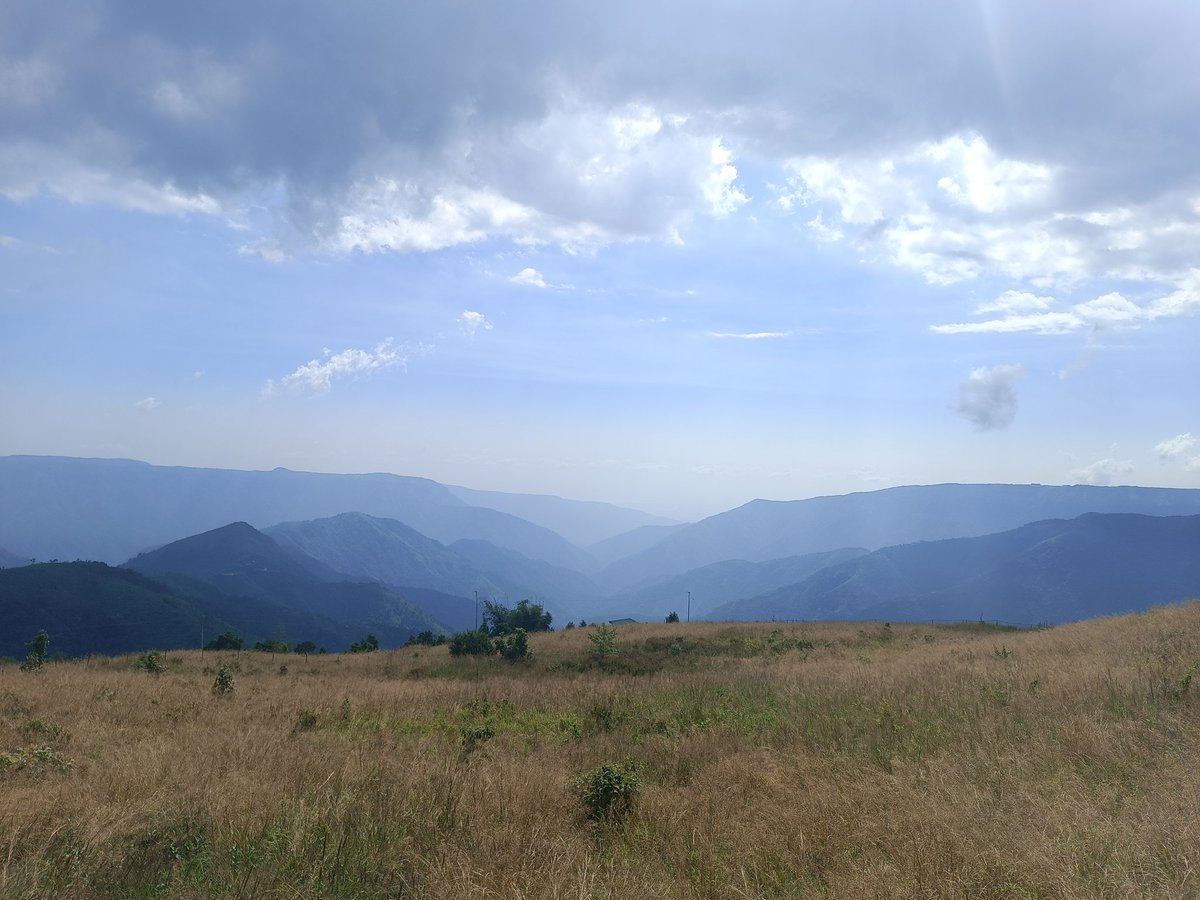 Neil Nagwekar tweet media