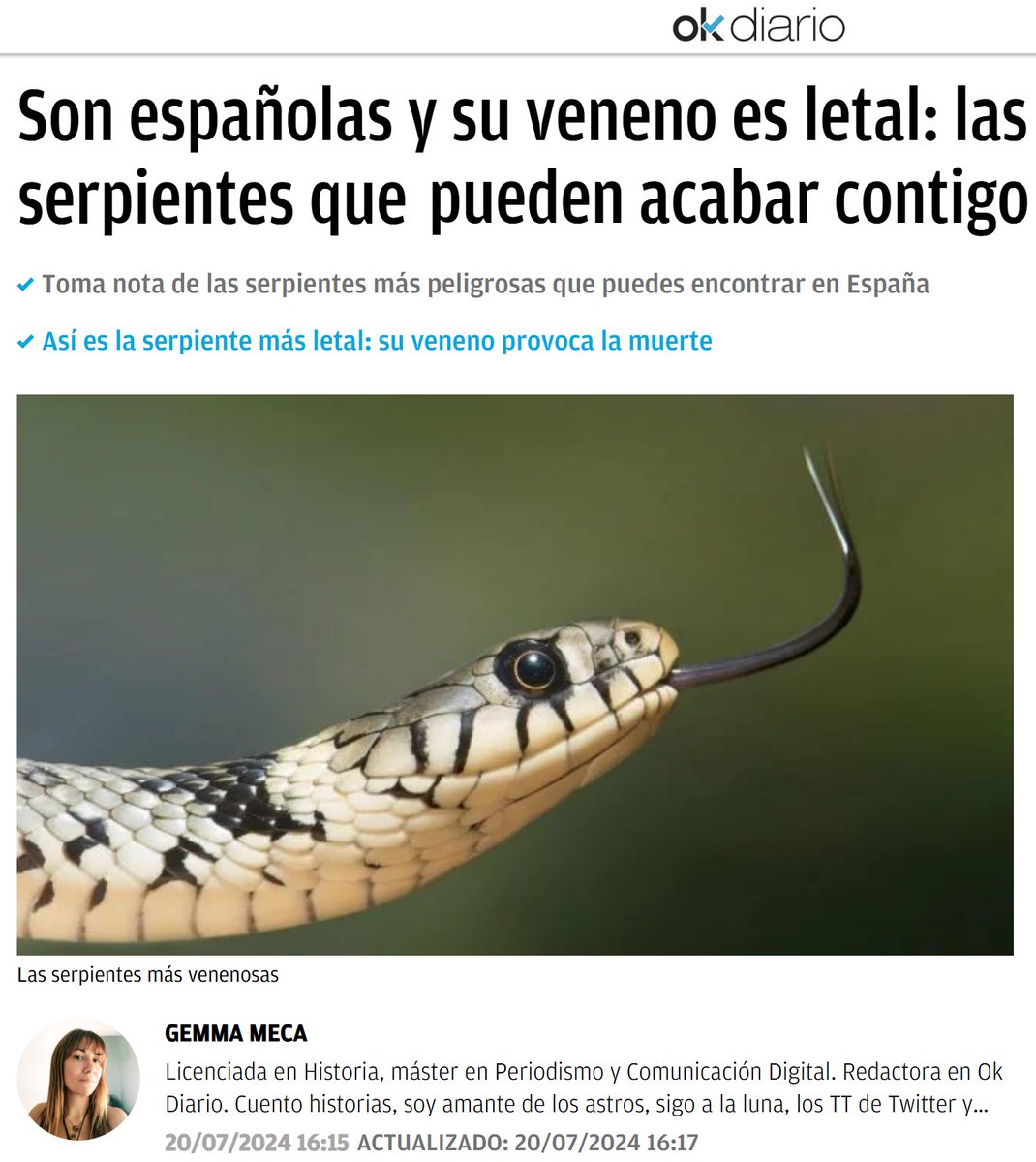 DrBioblogo's tweet photo. Otro verano más llega el periodismo BASURA para difundir estupides sobre serpientes 🤬🤬
En esta ocasión es OKdiario (cero sorpresas).

Empezamos: fotografía de / Natrix natrix /
Especie con cero veneno. No se defiende de humanos mediante mordiscos, finge atacar sin abrir la boca https://t.co/PfDDu6qilD