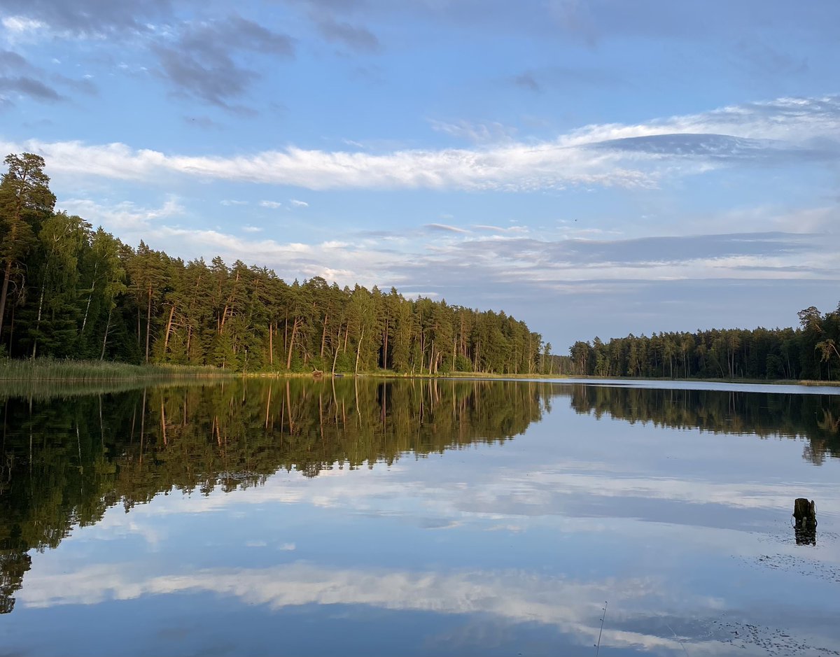 j_bejnarowicz's tweet photo. 🌲 Embrace Stillness 🌲

I find #stillness and #clarity through forest bathing and fishing, connecting with nature. Inspired by Ryan Holiday’s “Stillness Is the Key”, I appreciate silence and mindfulness even more. 

Take a moment to cherish nature and embrace stillness. 🌿✨ https://t.co/cUmdxeMAKy