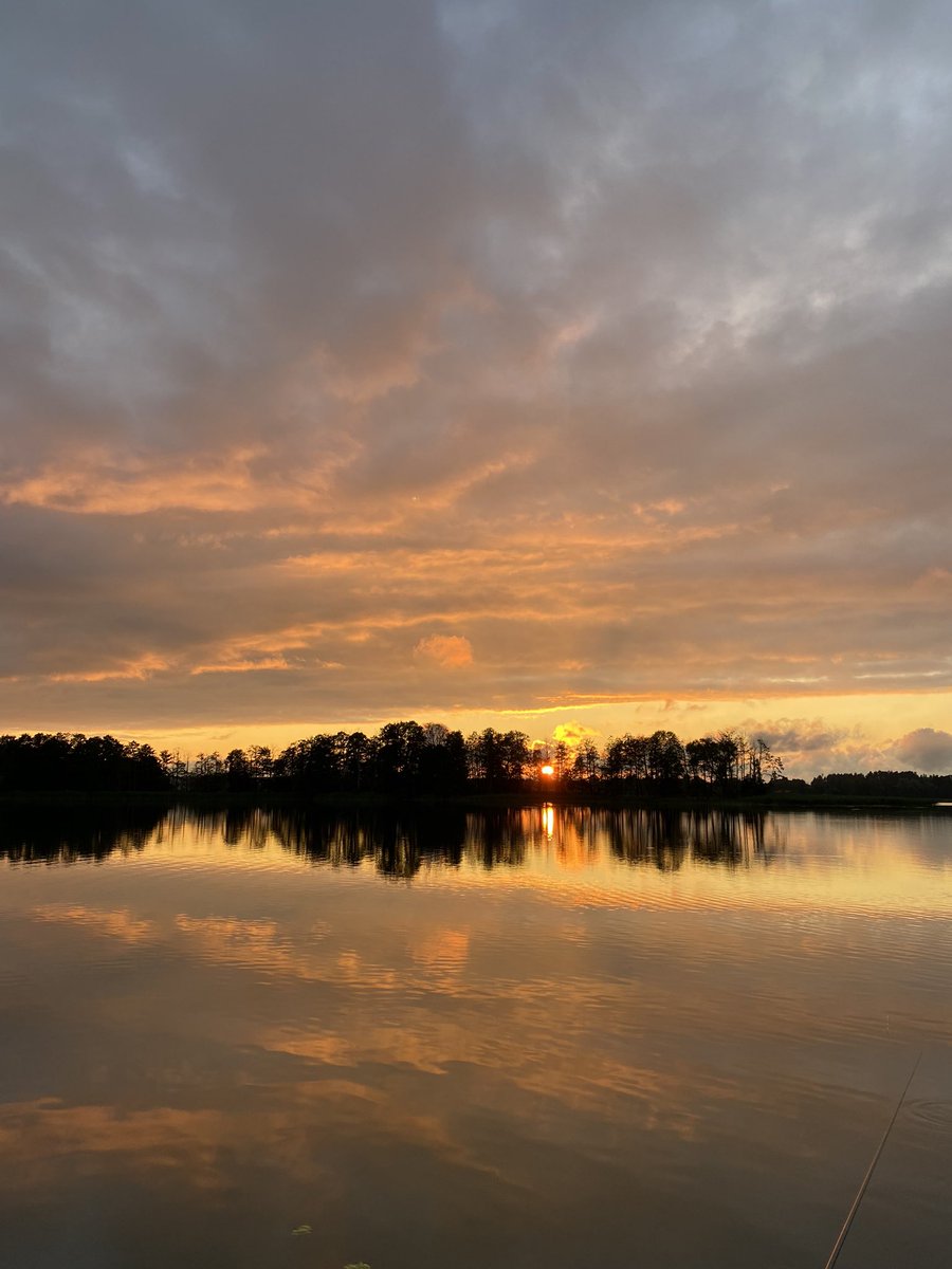 🌲 Embrace Stillness 🌲

I find #stillness and #clarity through forest bathing and fishing, connecting with nature. Inspired by Ryan Holiday’s “Stillness Is the Key”, I appreciate silence and mindfulness even more. 

Take a moment to cherish nature and embrace stillness. 🌿✨