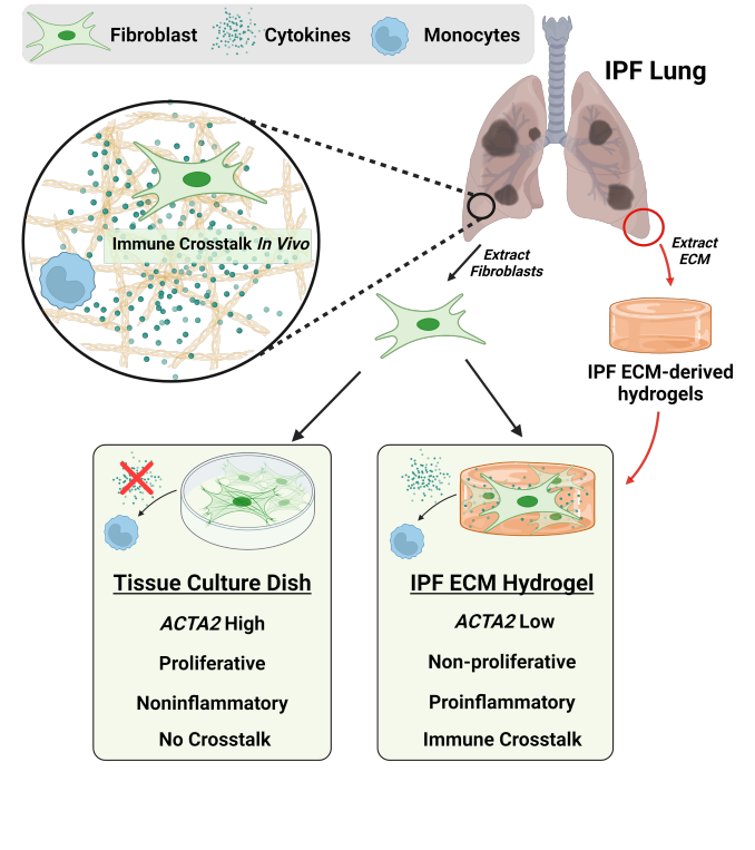 Amit Kumar Singh, Ph.D. tweet media