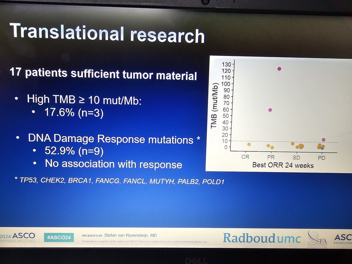 peush_me's tweet image. Translational research in angiosarcima is paving way for IOand new therapeutics ..exciting data presented this ASCO By dr Stefan