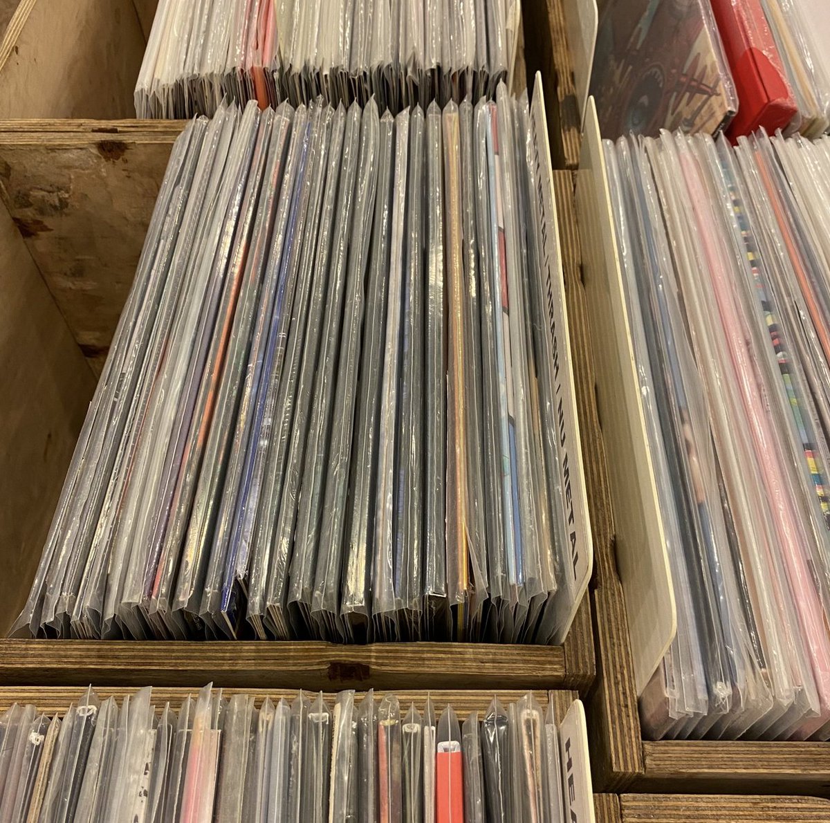 Bear Tree Records tweet media